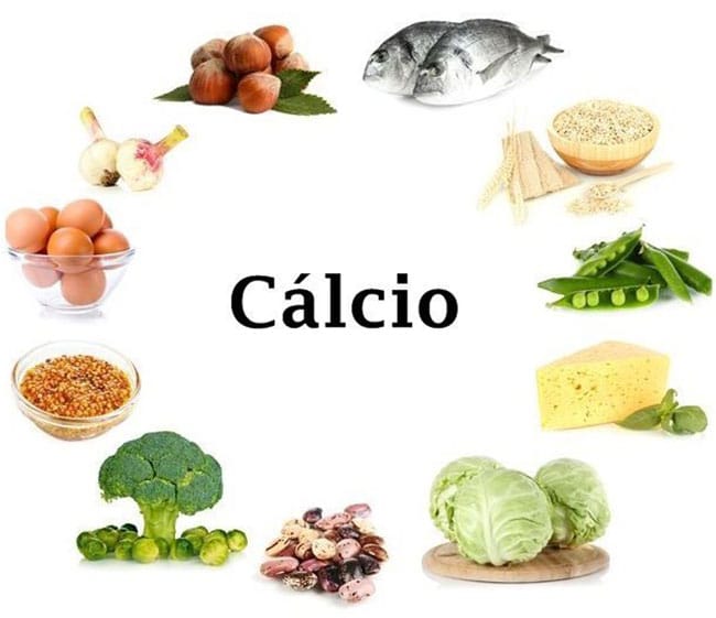 Alimentos ricos em Cálcio