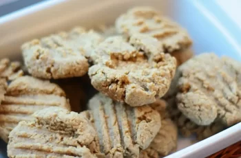 Biscoito proteico de aveia fit