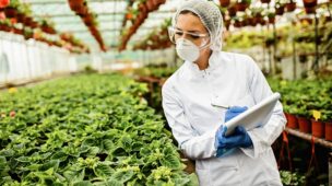 Com o crescimento da preocupação com a saúde e o bem-estar, a demanda por alimentos saudáveis nunca foi tão alta.