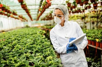 Com o crescimento da preocupação com a saúde e o bem-estar, a demanda por alimentos saudáveis nunca foi tão alta.